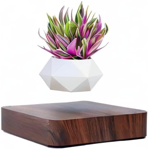 Levitating Air Bonsai Pot,Cool Stuff, Rotation Flower Pot Planters, Potted Plant Home Desk Decor in Flower Pots & Planters from Home & Garden on (Dark Color)