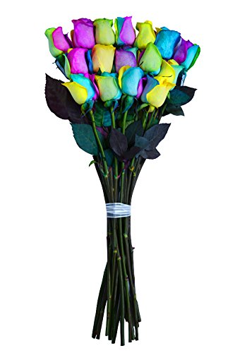 24 Premium Stems - Fresh Rainbow Roses Bouquet - by Flower Explosion
