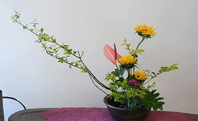 JapanBargain 2303, Japanese Ikebana Kenzan Flower Frog for Flower Arrangements Brass Floral Arranging Pin Needle Holder Made in Japan, 3-3/4x1-1/2 inch