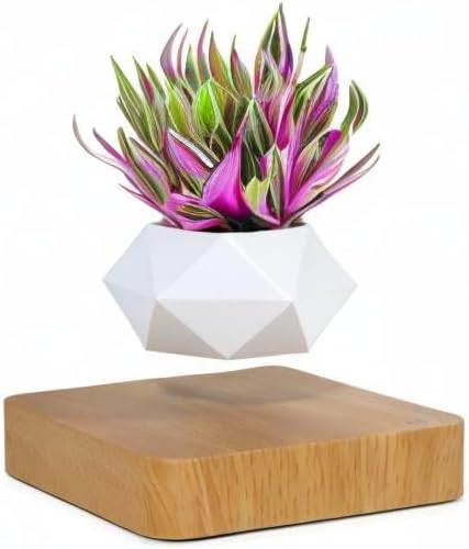 Levitating Air Bonsai Pot, Cool Stuff,Rotation Flower Pot Planters, Potted Plant Home Desk Decor in Flower Pots & Planters from Home & Garden on (Light Color)