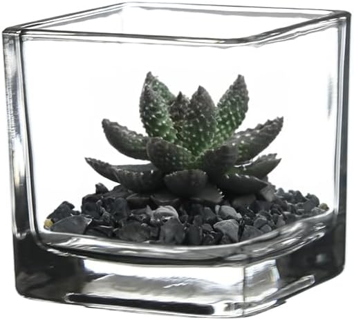 WGV 3 Inch Clear Square Cube Glass Votive Candle Holder Vase, Small Tiny Mercury Tea Light Terrarium Décor 3x3”, 1 Pc