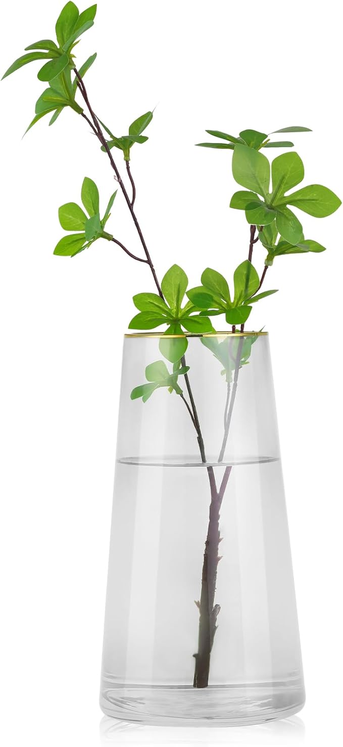 WHJY 9 inch Clear Glass Vase for Table Centerpieces Home Décor, Flower vase Modern Glass Bottles Decorative-White