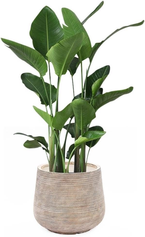 LuxenHome 17" Dia Large Round Planters for Indoor Plants, Outdoor Planters with Drainage Holes, Farmhouse Distressed Plant Pots Indoor & Outdoor for Home Garden Patio