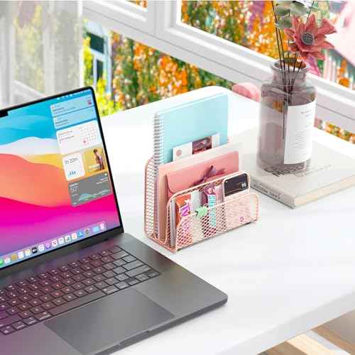 gianotter Mail Organizer Countertop, Metal File Holder with 3-Slot, Rose Gold Desk Accessories & Workspace Organizers (Rose Gold)
