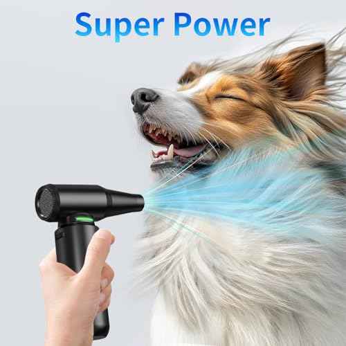 Compressed Air Duster with LED Flashlight, 300,000RPM Brushless Motor Electric Air Duster, 3-Gear Adjustable Mini Blower, Cordless Jet Fan for Keyboard, PC, Car and Home Cleaning1
