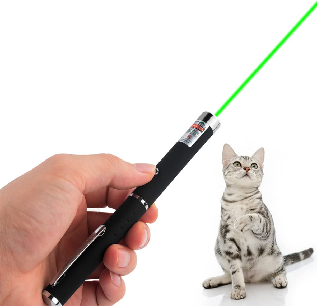 Skiennix Interactive Cat Toy - USB Rechargeable with Green Remote for Indoor Fun | 1 Pack