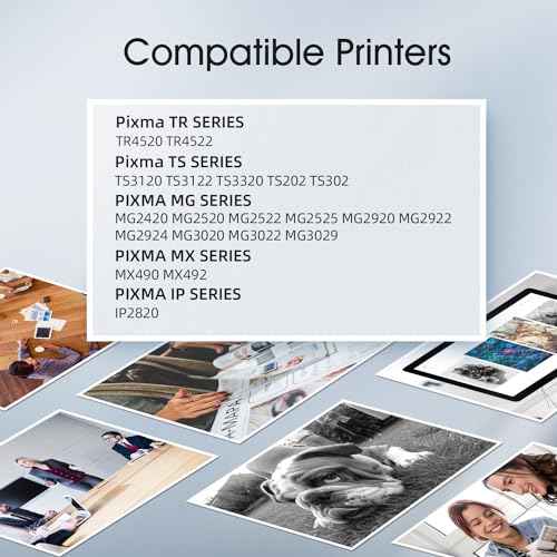 PG-245XL Black Ink Cartridge Replacement for Canon 245XL PG-245 Black Combo Pack for PIXMA MG2420 MG2520 MG2522 MG2525 MG2920 MG2922 MG2924 MG3020 MG3029 MG3022 TR4520 TR4522 TS3120 (2 x Black)