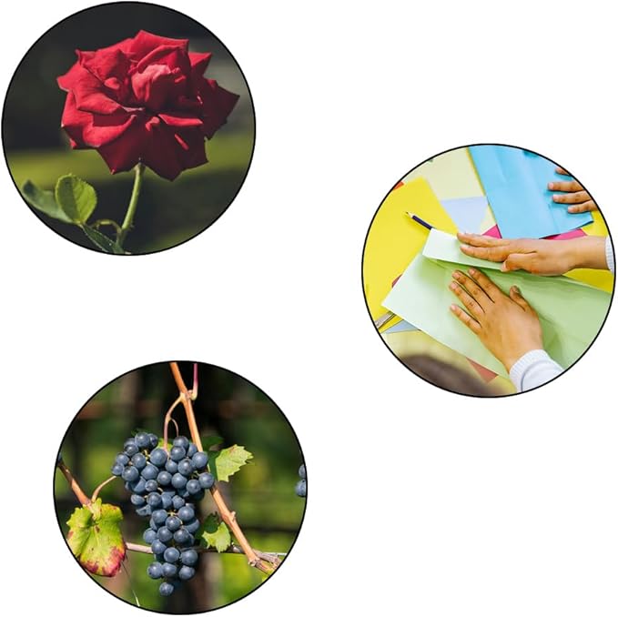 2 Pcs Premium Stainless Steel Flower Shears,DIY Floral Cutting Scissor for Garden Flower Arrangement,Floral Stems,Pruning Leaf