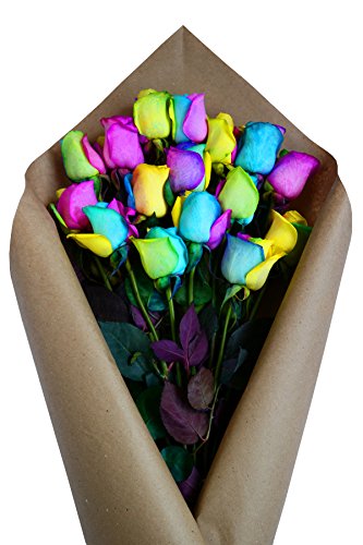 24 Premium Stems - Fresh Rainbow Roses Bouquet - by Flower Explosion