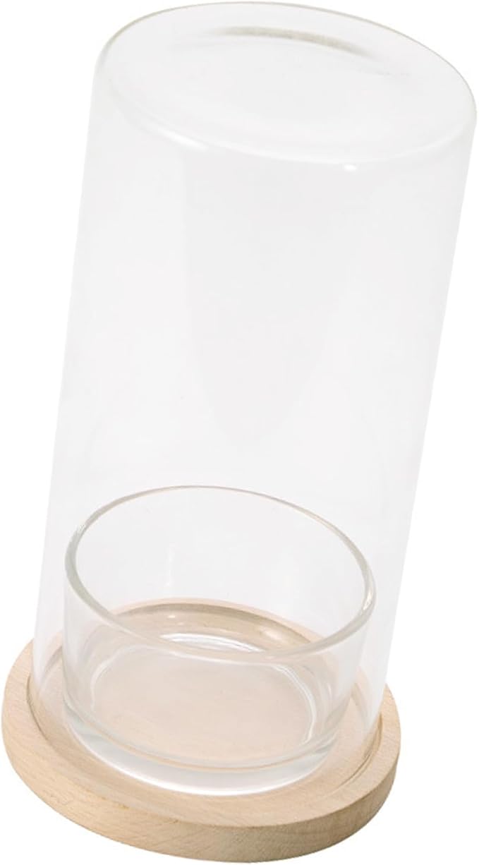 Desktop Hydroponic Ecosystem Bottle Plant Glass Bottle Pots for Office Decors Air Purifications with Glass and Wood Base