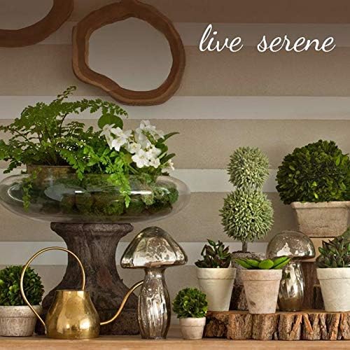 Serene Spaces Living Vintage Gold Decorative Iron Bowl, Table Centerpiece, Fruit Bowl, Floating Candle-Holder, Flower Bowl Vase, Potpourri, Catchall, Dining Table, 12" Diameter & 4" Tall, Single