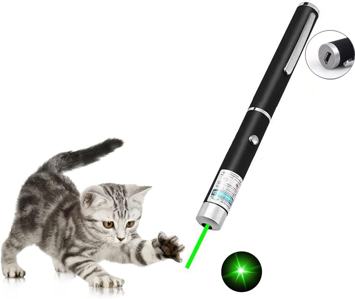 Skiennix Interactive Cat Toy - USB Rechargeable with Green Remote for Indoor Fun | 1 Pack