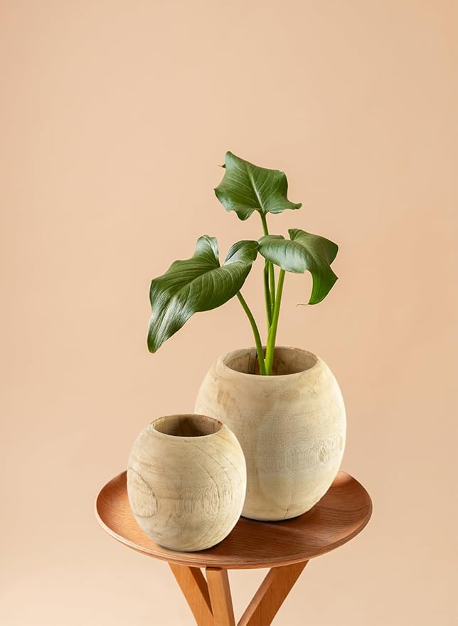 Serene Spaces Living Teak Essence Vase - Handcrafted Natural Wood Vase, Perfect for Artificial, Dried, and Fresh Flowers, Unique Rustic Decor Piece for Home or Office, Gift Idea (Large - Pack of 1)