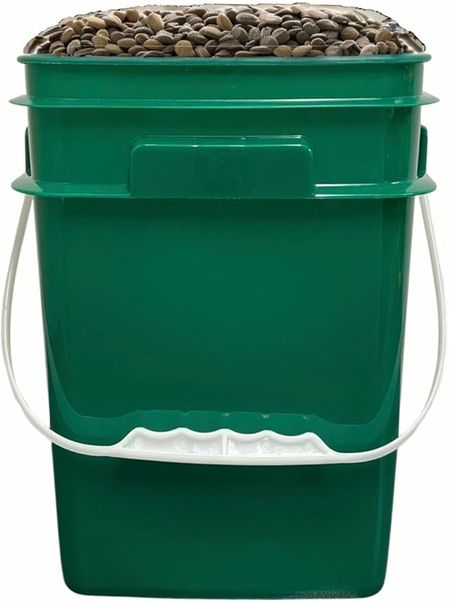 House Naturals 4 Gallon Square Food Grade Plastic Bucket with Lid, Made in USA (Pack of 2) (Dark Green)