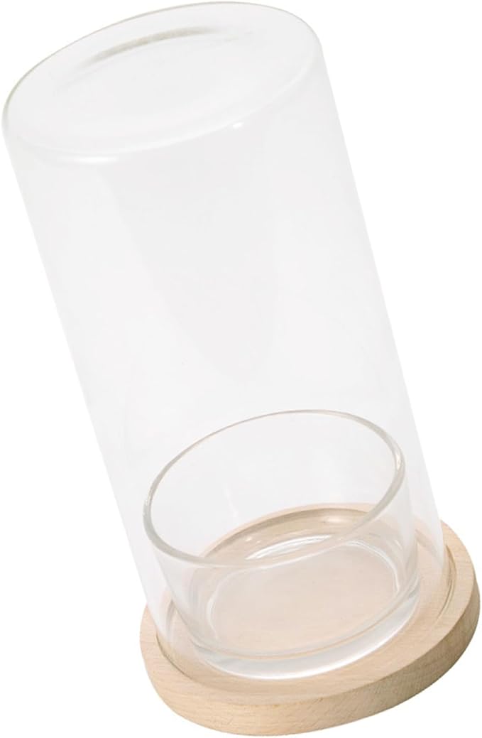 Desktop Hydroponic Ecosystem Bottle Plant Glass Bottle Pots for Office Decors Air Purifications with Glass and Wood Base