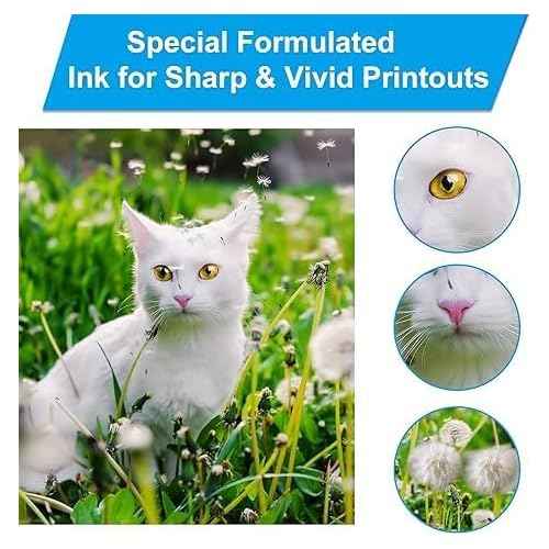 LCL Compatible Ink Bottle Replacement for GT51 GT52 GT5810 5820 5811 5821 5822 118 310 311 315 318 319 410 411 415 416 418 419 (8-Pack 2Black 2Cyan 2Magenta 2Yellow)
