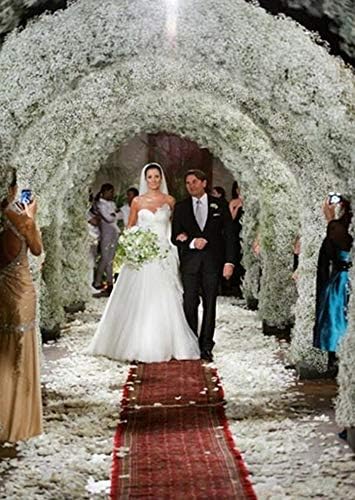 Bringsine Baby Breath Gypsophila White Fake Artificial Flowers for DIY Wedding Bouquets Bridal Shower Centerpieces Arrangements Party Tables Decorations 60 Pieces/Pack