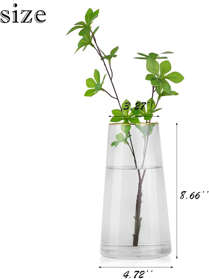 WHJY 9 inch Clear Glass Vase for Table Centerpieces Home Décor, Flower vase Modern Glass Bottles Decorative-White