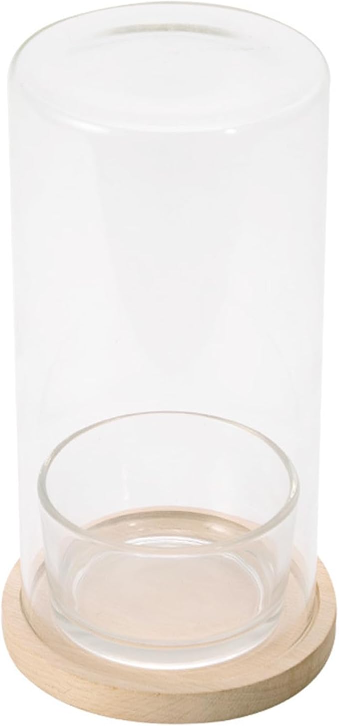Desktop Hydroponic Ecosystem Bottle Plant Glass Bottle Pots for Office Decors Air Purifications with Glass and Wood Base