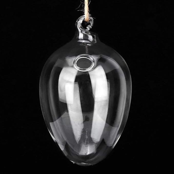 Glass Vase Transparent Hanging Hydroponic Plants Planter Home Decor for Bedroom Living Room