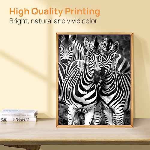 Ink 280 281XXL Ink Cartridges Compatible for Canon 281 Ink Cartridges 280XXL Ink for Canon Printers Pixma TR8620A TS9120 TS6320 TR7520 TS8220, 5 Pack