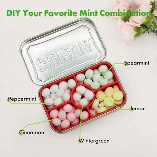 Organizer Inserts Compatible with Altoids 1.76oz Mint Tins for Personal Storage (Random Color)
