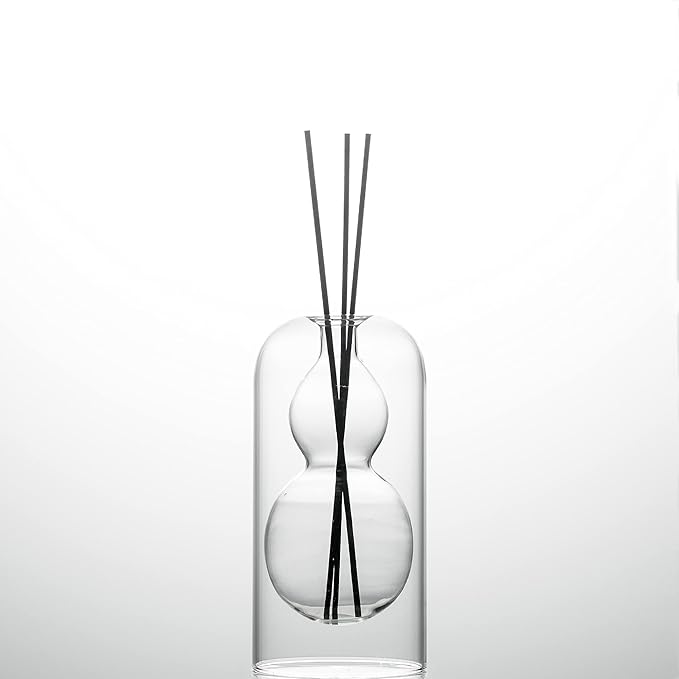 Empty Glass Fragrance Reed Diffuser Bottles,for Essential Oil, with 16pcs Black Reed Sticks,Minimalist Decor,2pcs/Set.