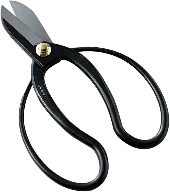Wazakura Made in Japan Ikebana Tool Kit - Koryu Scissors + Sun and Moon Kenzan Flower Holder, Japanese Floral Arrangement, Florist Shears and Pin Frog Gift Box Set