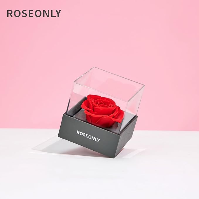 Preserved Rose Romantic Gifts for Wife Female Womens Real Red Roses Flowers for Valentine's Day Christmas Birthday Mother's Day Anniversary (Mini)