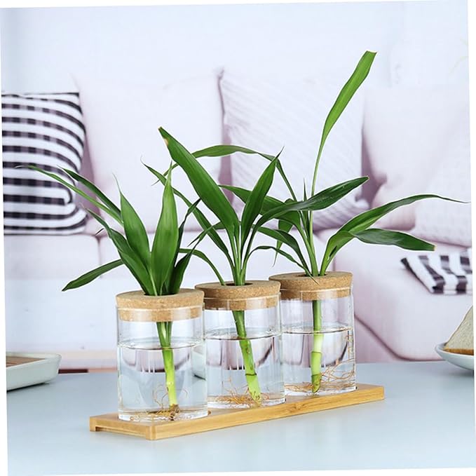VILLCASE 2pcs Wood Art Glass Vase with Cork Stopper for Hydroponic Plants Decorative Flower Pot for Indoor Greenery Minimalist Plant Vase for Home and Office Decor