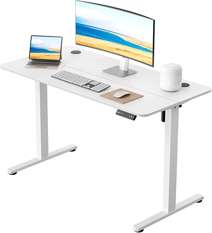 Standing Desk Home Office Desk, 48 x 24 Inches, Electric Height Adjustable Ergonomic Rising Computer Table, 4 * 2ft, White Desk