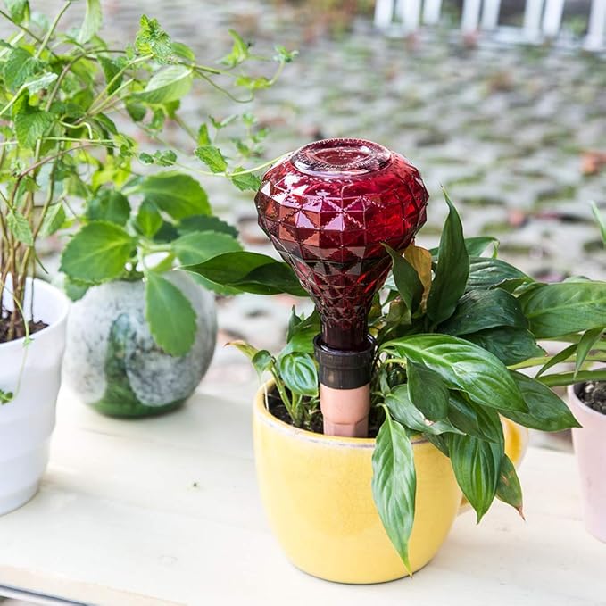 Glass Mini Watering Can Vintage Plant Mister Flower Water Spray Bottle and Faceted Glass Plant Watering Globe with Terracotta Spike,Red