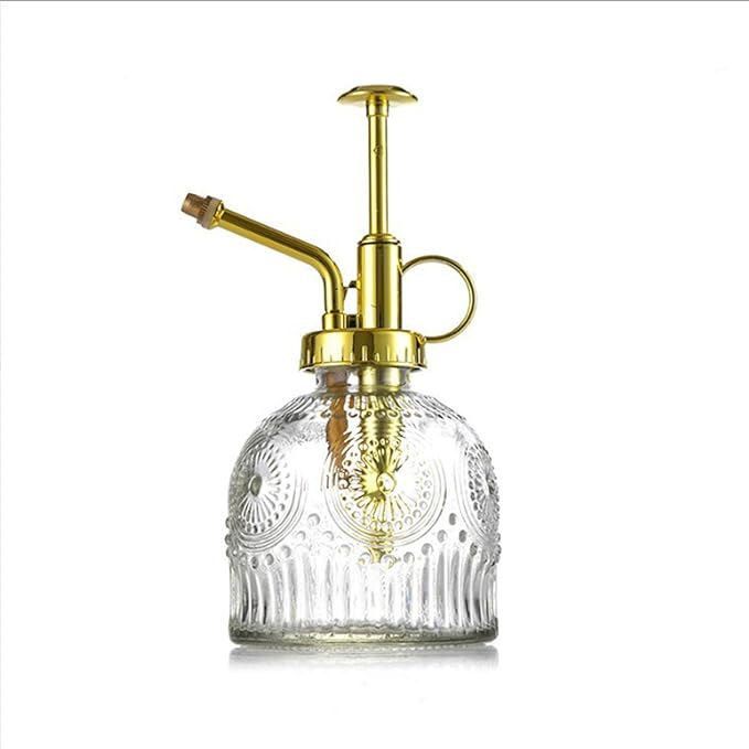 Glass Plant Mister Spray Bottle, 230ML Vintage Plant Spritzer, Succulent Watering Bottle Glass with Top Pump, Small Plants Sprayer Watering Can for Indoor Outdoor House(Clear)