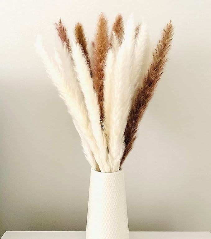 60 Pcs White Pampas Grass ,17 inch/45 cm Natural Dried Pampas Grass Branches Decor for Home Kitchen Garden Party Photographing Flower Arrangement Vase Decor（White