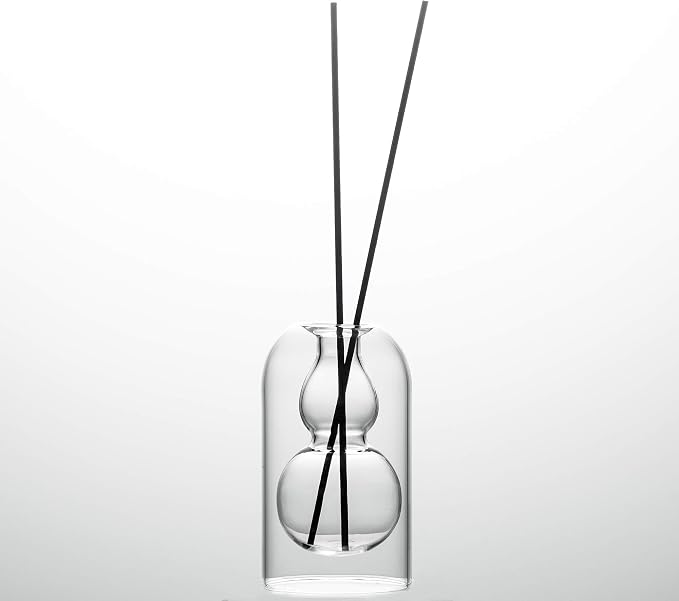 Empty Glass Fragrance Reed Diffuser Bottles,for Essential Oil, with 16pcs Black Reed Sticks,Minimalist Decor,2pcs/Set.