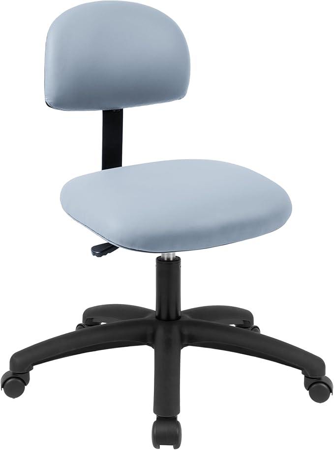 Chair Master FSS Series Square seat Low (17"-22") seat Height Chair. Vinyl-for Office, Garage, Desk, Shop, Computer, Doctor, Medical, Easy to Clean! NO Footring (Gray, Low, _Standard Casters)