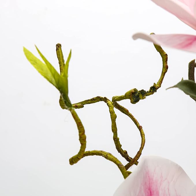 DILATATA Faux Flowers in Vase 15.4" Magnolias Flowers Arrangement with Faux Water Real Touch Flowers for Wedding Table Centerpiece Home Decor, Pink