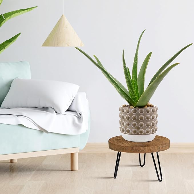 OBTAIN Plant Stand Indoor Outdoor Wood Mid Century Plant Stand for Indoor Plants, Modern Plant Table Round Plant Stool, Boho Rustic Wooden Stool for Plant Pot Hol (L)
