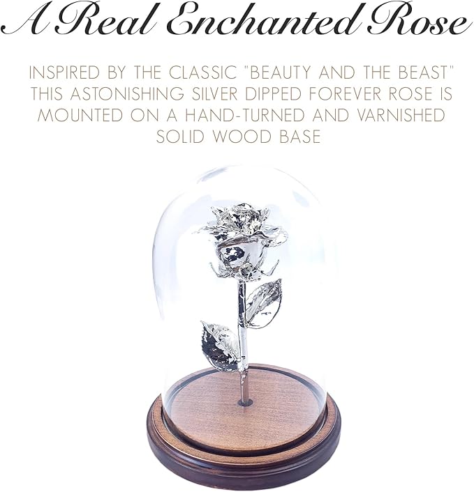 Forever Rose Enchanted Preserved with Real Silver Rose Lasts Forever | Includes Wood Base & Glass Dome | Silver Dipped Rose Assembled by Hand in The USA | Romantic Gifts for Women