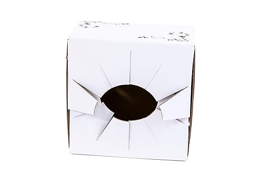 Cardboard Vase Boxes for Delivery - Florist Boxes (8"x 8"x 4") - Bundle of 10