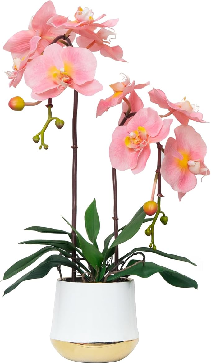 CXGS Orchids Artificial Flowers Realistic Fake Flowers in Ceramic Pot 20" Pink Lifelike Faux Floral Arrangement Soft PU Phalaenopsis for Home Hotel Indoor Decor, Centerpiece Display