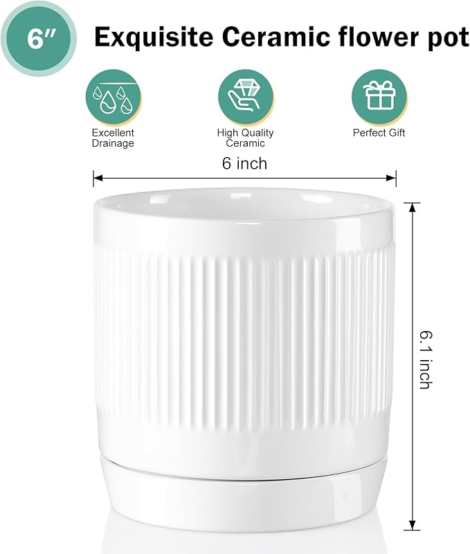 Vanavazon 6 Inch Glazed Ceramic Plant Pots with Drainage Hole and Saucer, Cylinder Indoor Planters for All House Plants, Modern Decor for Home & Office, Set of 2 (White)