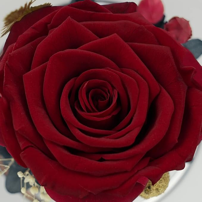 Sunia Preserved Flower Rose Gift for Women - Mother's Day Birthday Gifts for Mom Wife Grandma, Glass Angel Figurines Forever Real Roses Gifts for Her Valentine Day Thanksgiving﻿ (Redwine)