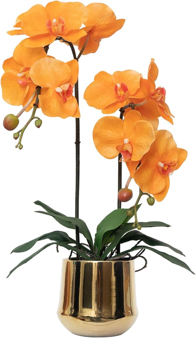 CXGS Orchids Artificial Flowers Realistic Fake Flowers in Ceramic Pot 20" Orange Lifelike Faux Floral Arrangement Soft PU Phalaenopsis for Home Hotel Indoor Decor, Centerpiece Display