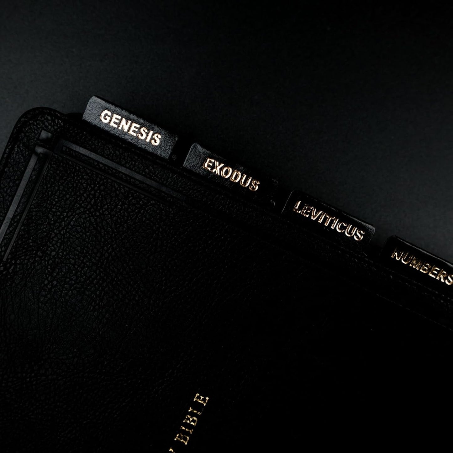 UPAFEXXI Leather Bible Tabs - Large Print Stickers with Gold Foil Lettering | Easy Navigation Labels (Black)
