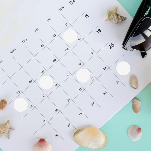 Skiennix 700 PCS Dot Stickers - White 1 Inch Round Color Coding Labels for Office & Classroom