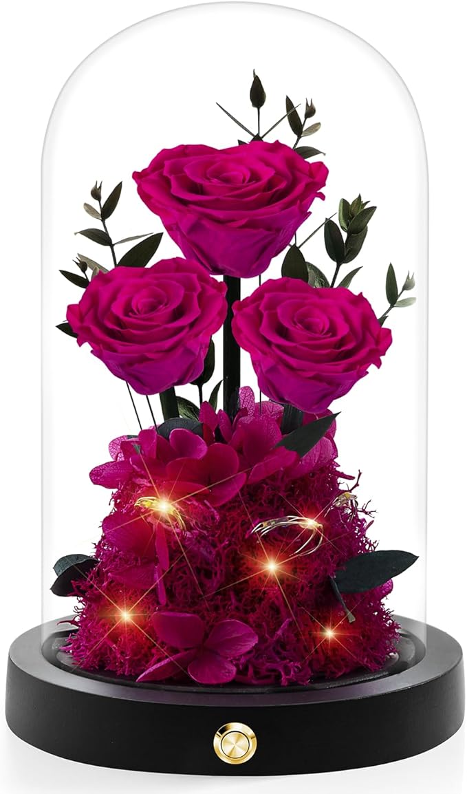 Christmas Flowers Roses Gifts for Mom,Forever Real Preserved Roses in Glass Dome,Christmas Anniversary Thanksgiving Gifts for Wife Girlfriend Women Best Friend Grandma/Rose