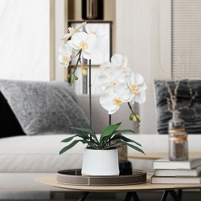 CXGS Orchids Artificial Flowers Realistic Fake Flowers in Ceramic Pot 20" White Lifelike Faux Floral Arrangement Soft PU Phalaenopsis for Home Hotel Indoor Decor, Centerpiece Display