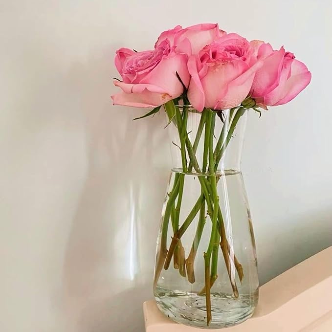 DARENYI Clear Glass Vase for Centerpieces, Home Decor, 8 inch Tall Large Opening Glass Flower Vase for Bouquet, Shelf, Centerpiece, Living Room, Office, Wedding or Gifts