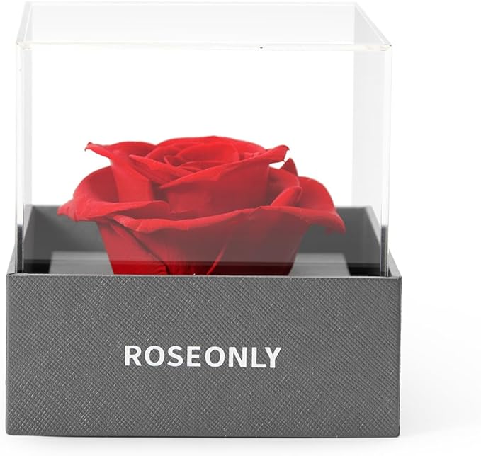 Preserved Rose Romantic Gifts for Wife Female Womens Real Red Roses Flowers for Valentine's Day Christmas Birthday Mother's Day Anniversary (Mini)